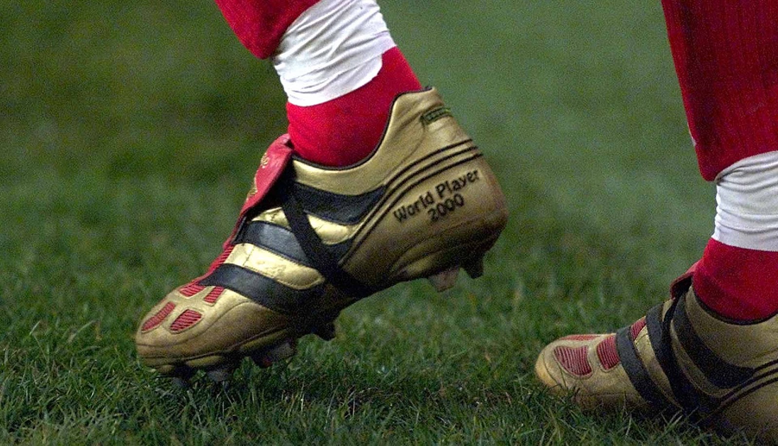 Gold adidas top predators 2019